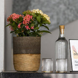 Sage Planter