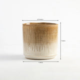 Oliva Vase