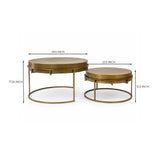Tinashe Aluminum Coffee Table Set of 2