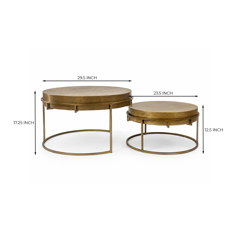 Tinashe Aluminum Coffee Table Set of 2