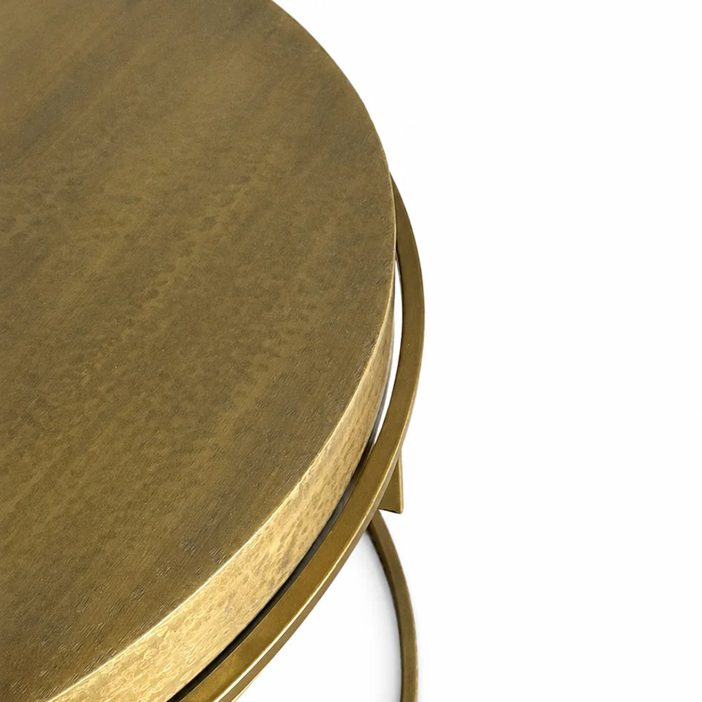Tinashe Aluminum Coffee Table Set of 2