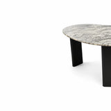 Aster Coffee Table