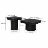 Elliot Mango Wood Coffee Table Set of 2