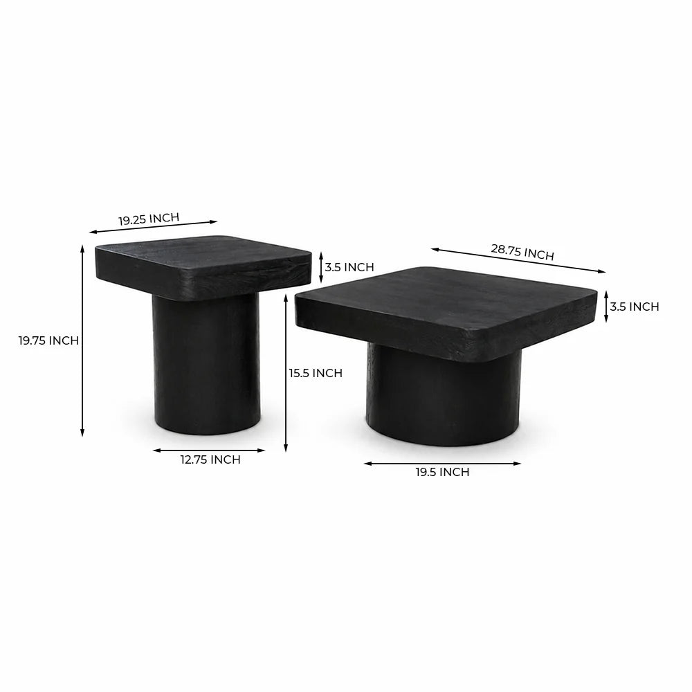 Elliot Mango Wood Coffee Table Set of 2