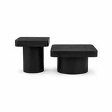 Elliot Mango Wood Coffee Table Set of 2