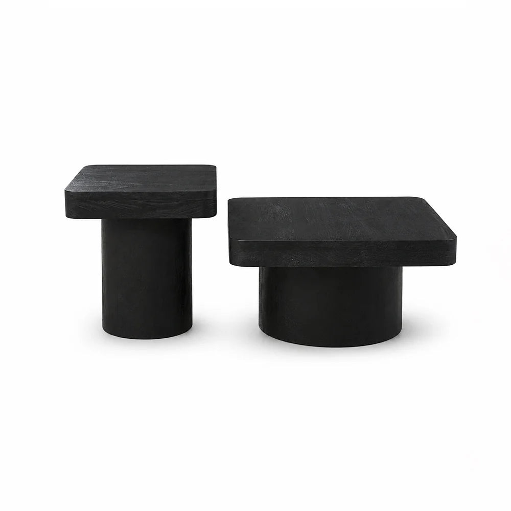 Elliot Mango Wood Coffee Table Set of 2