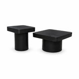 Elliot Mango Wood Coffee Table Set of 2