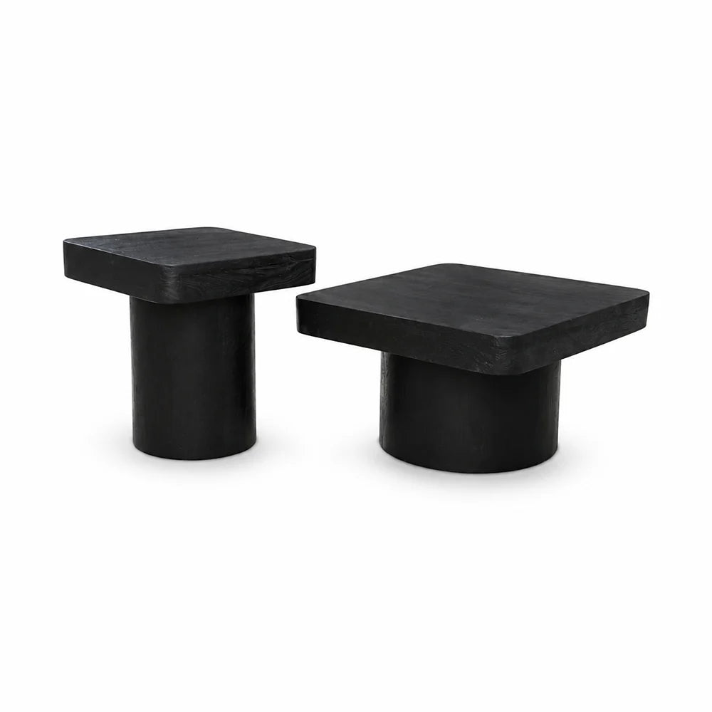 Elliot Mango Wood Coffee Table Set of 2