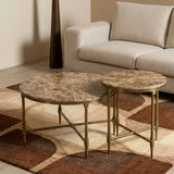 Emie Marble Coffee Table Set of 2