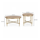 Emie Marble Coffee Table Set of 2